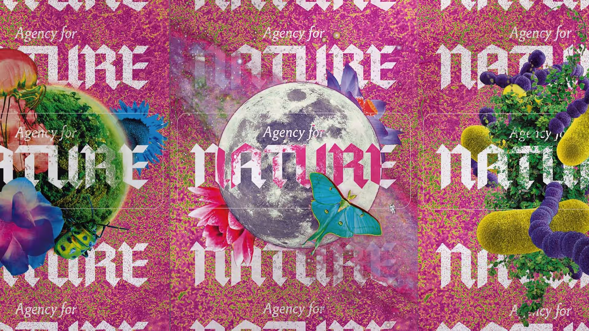 Agency for Nature project