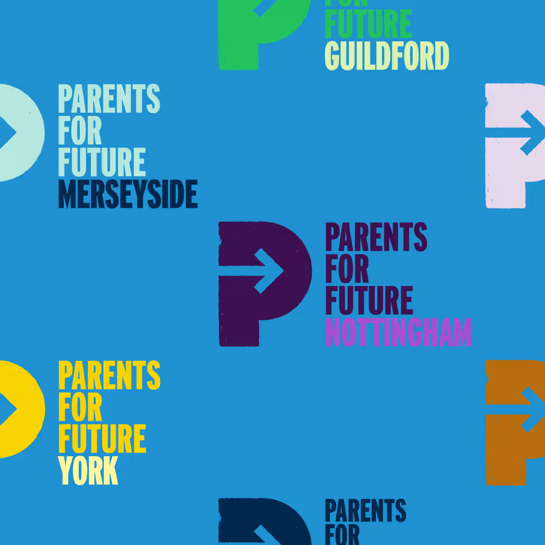 Parents for Future project